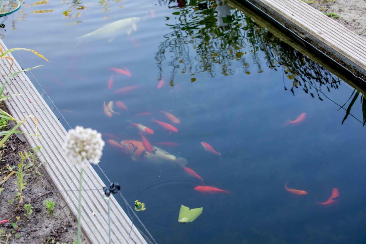 Amsterdam Area Residence Oosterwold 阿尔梅勒 外观 照片
